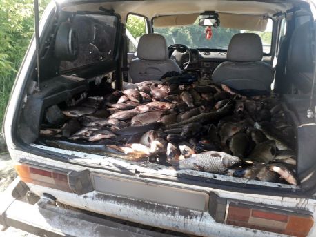На Охтирщині поліцейські викрили браконьєра, який наловив 250 кг риби