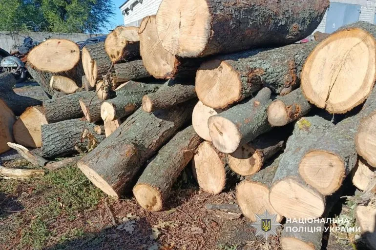 Чоловік на Дніпропетровщині незаконно зрізав 29 дерев