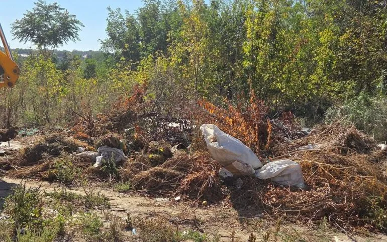 У Дніпрі ліквідували нові стихійні сміттєзвалища
