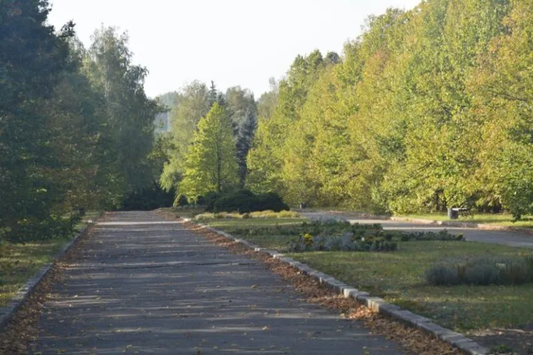 Прогноз погоди на неділю, 5 жовтня 2025 року у Дніпрі