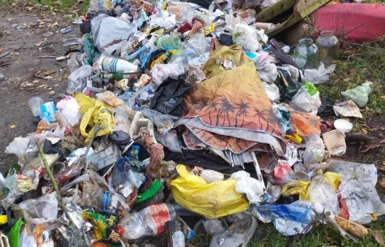 Стихійне сміттєзвалище в парку Дружби у Дніпрі: екологічна проблема