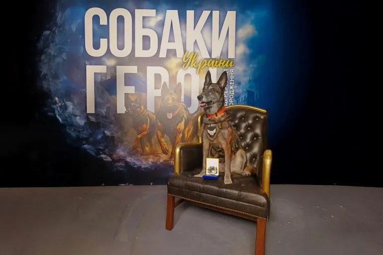 Спаркі з Павлограда отримала орден «Собака – Герой України»