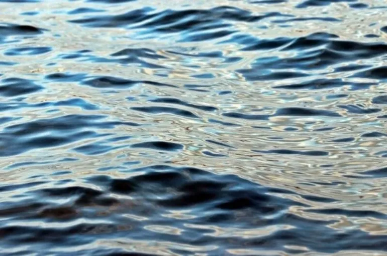 Забруднення води на річці Саксагань у Кривому Розі