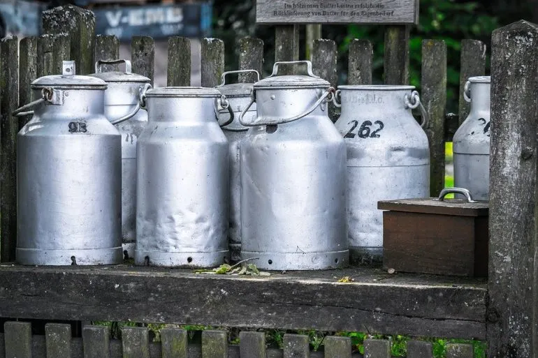 Відновлення української молочної промисловості: нові досягнення та виклики