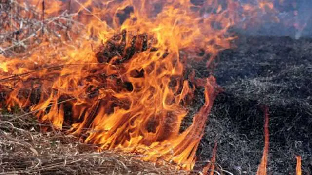 На Дніпропетровщині через пожежі загинуло 58 людей