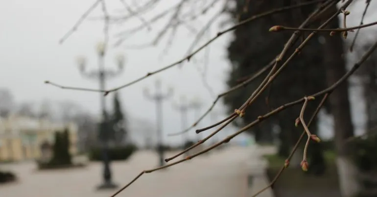 Метеорологічна весна в Києві стартувала в межах кліматичної норми