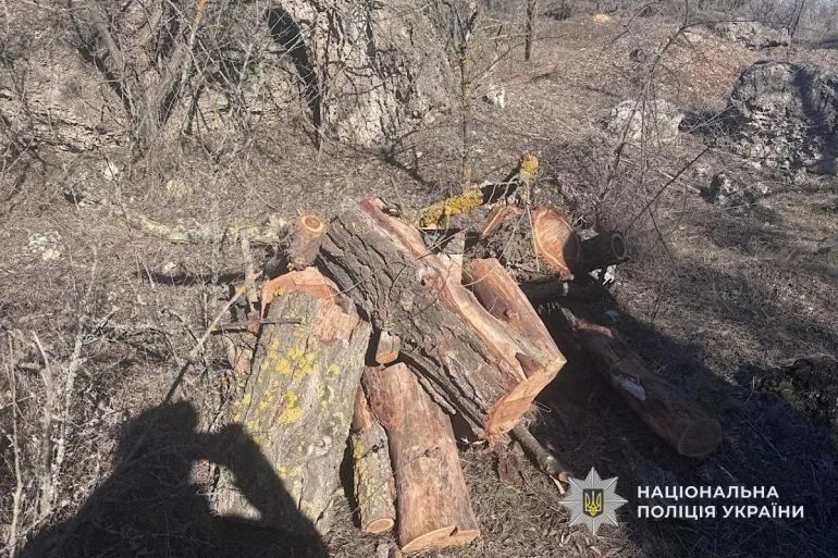 На Криворіжжі підозрюють чоловіка у вирубці 20 дерев у заказнику