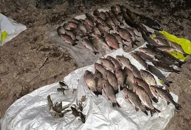 На річці Інгулець викрили браконьєра