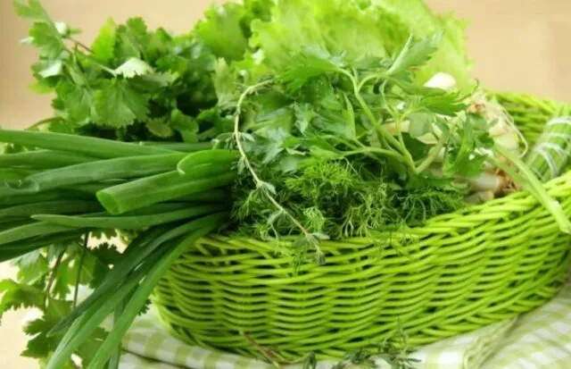 Користь петрушки для судин, кісток і здоров’я організму