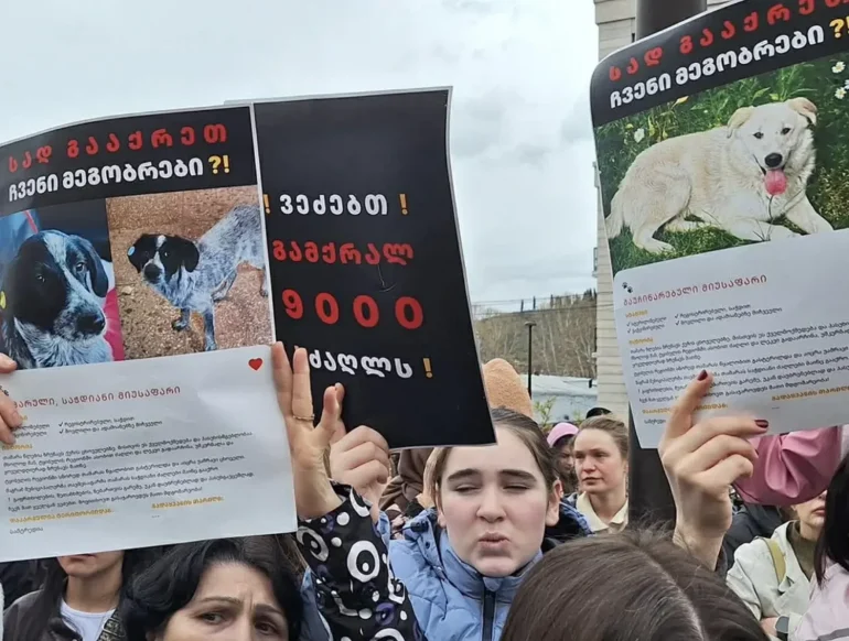 У Грузії пройшла акція проти жорстокої програми вилову бездомних собак