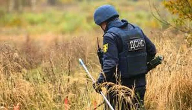 ДСНС: розміновано близько 200 тисяч гектарів в Україні