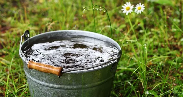 Скільки води потрібно пити щодня