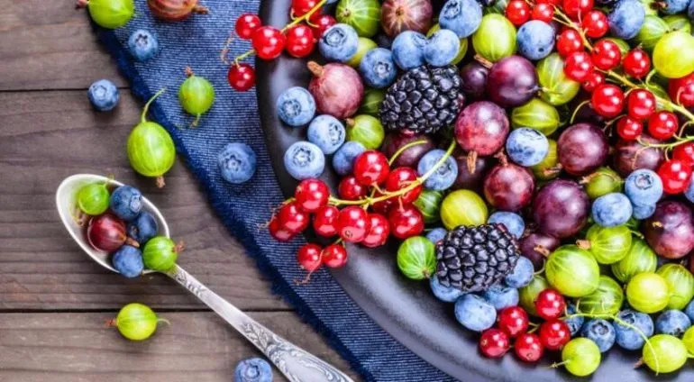 Літні ягоди: користь, сезони та правила вживання