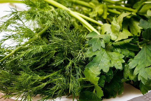 Топ-10 продуктів з антиоксидантами для здоров’я