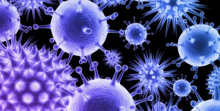 Фінляндія може визнати хворобу від вірусу Анд особливо небезпечною