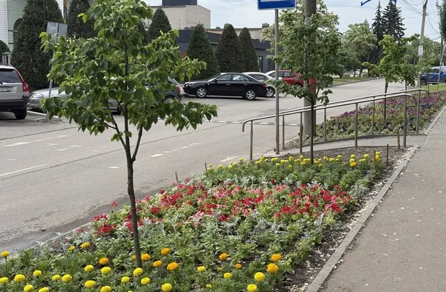 Школярі Самарі висадили понад 2000 квітів у нову клумбу